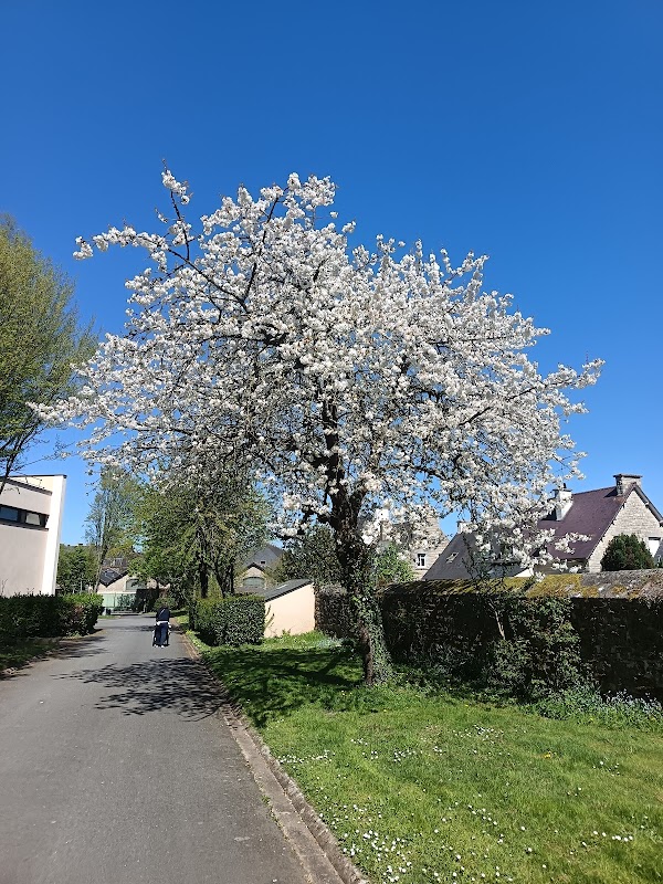 EHPAD Petites Soeurs des Pauvres