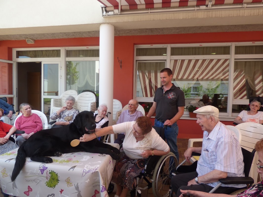 EHPAD Les Cerisiers - Photo 4 sur 5 - Espaces de vie