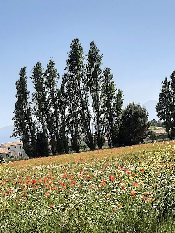 Résidence autonomie Paule de Carbonnier - Photo 2 sur 2 - Intérieur et espaces communs