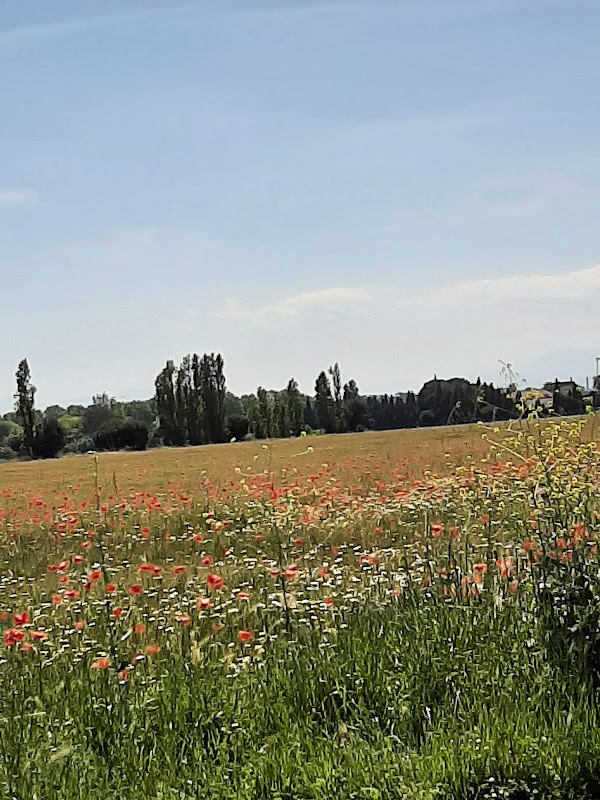 Photo de Résidence autonomie Paule de Carbonnier, Résidence autonomie à ST CYPRIEN