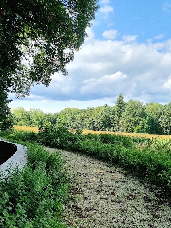 EHPAD Le Château des Cèdres - Photo 4 sur 5 - Espaces de vie