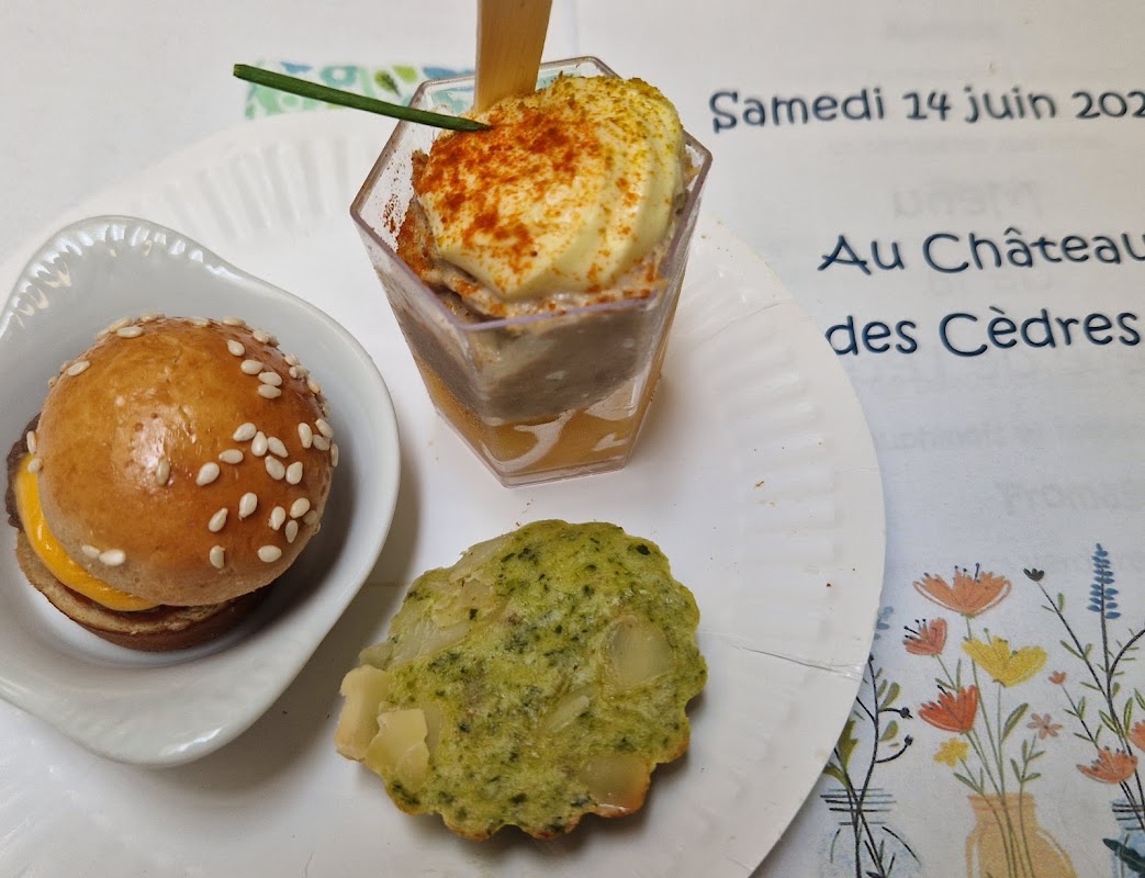 Photo de EHPAD Le Château des Cèdres, EHPAD à CONCHES SUR GONDOIRE