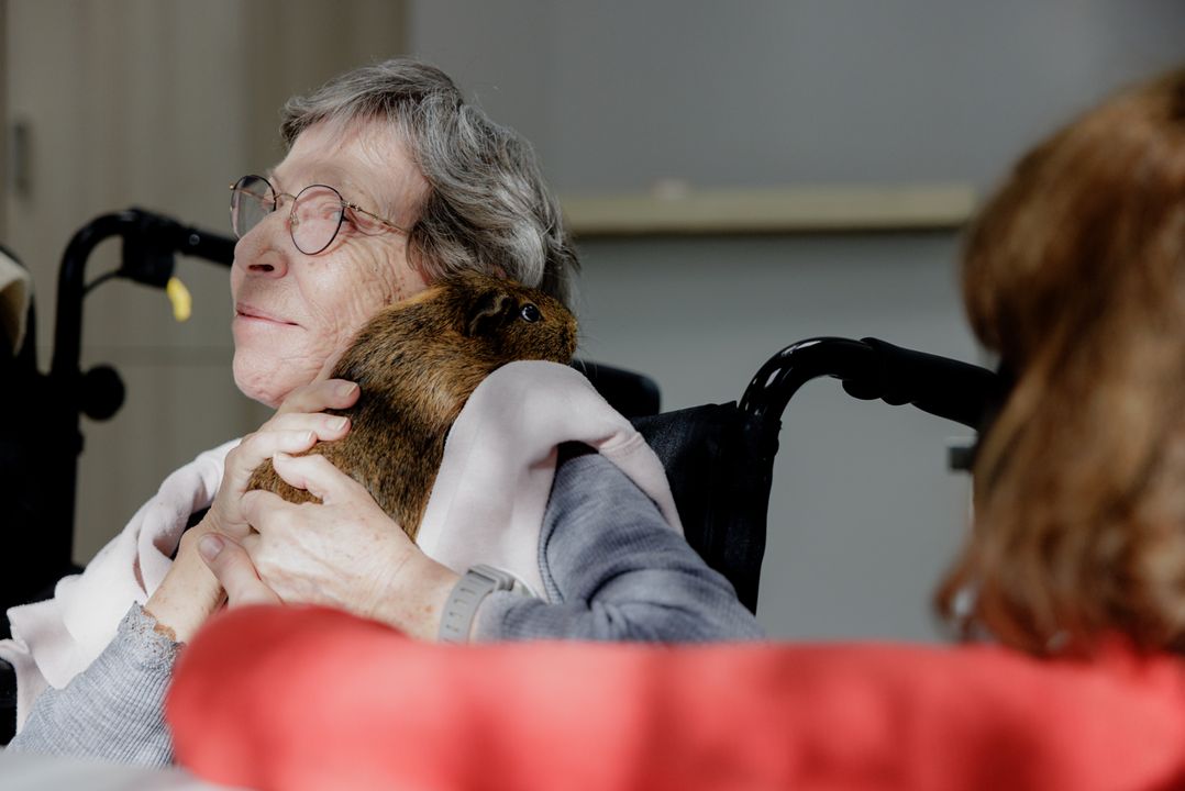 EHPAD La Roseraie - Photo 4 sur 5 - Espaces de vie