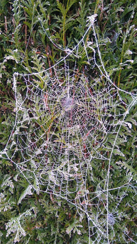 EHPAD L'Aubinage - Photo 5 sur 5 - Environnement et extérieurs