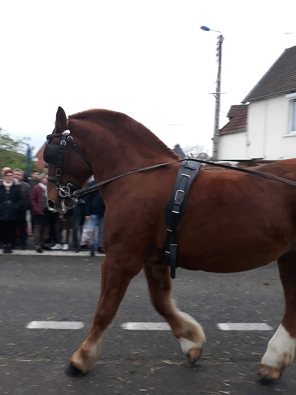 Photo de EHPAD Airaines, EHPAD à AIRAINES