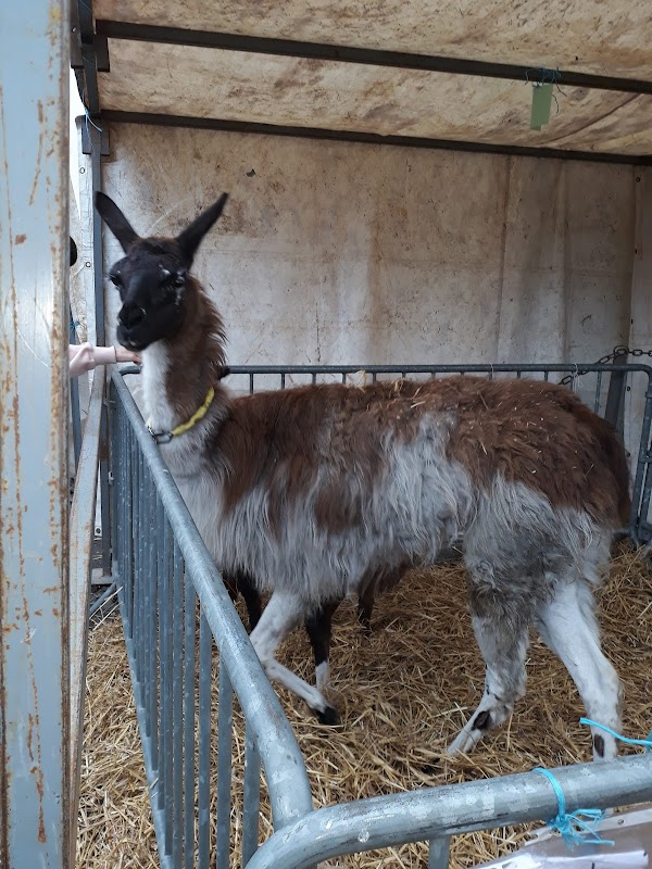 EHPAD Airaines - Photo 2 sur 5 - Intérieur et espaces communs