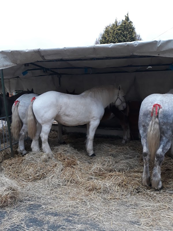 EHPAD Airaines - Photo 3 sur 5 - Chambres et hébergement