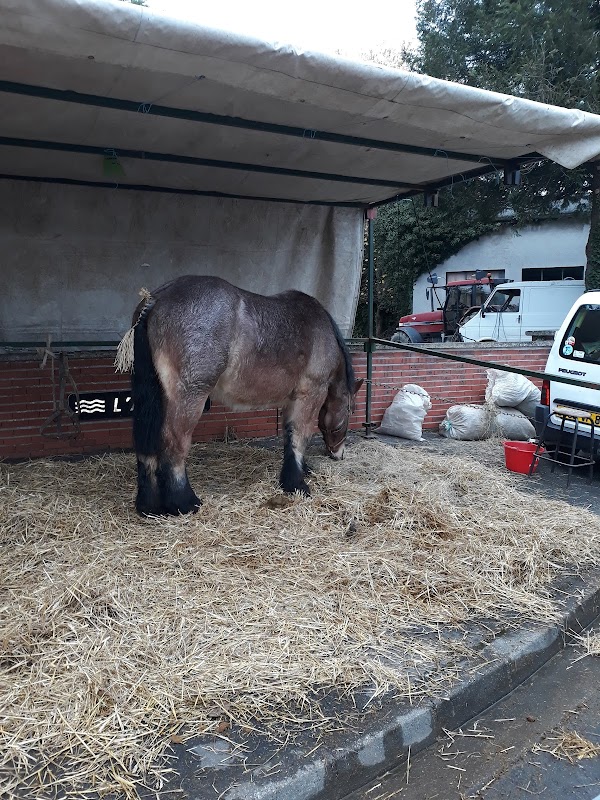 EHPAD Airaines - Photo 4 sur 5 - Espaces de vie