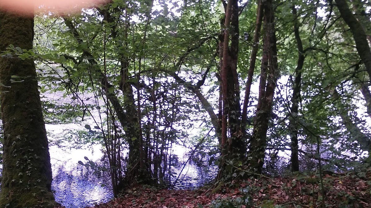 Photo de EHPA Foyer-Logement Cornouaille de Rostrenen, Résidence autonomie à ROSTRENEN