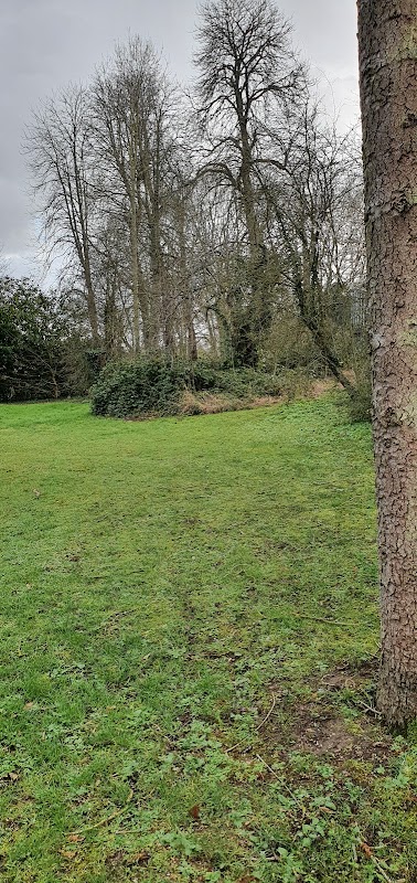 EHPAD Solemnes Domaine de la Grange - Photo 4 sur 5 - Espaces de vie