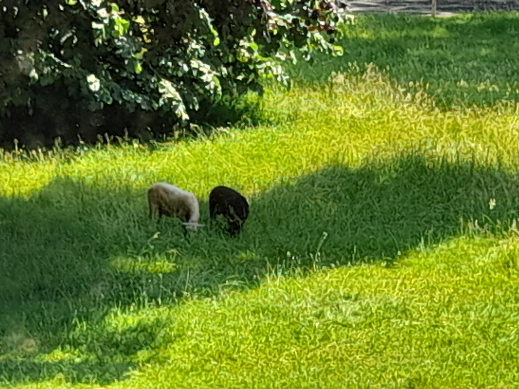 EHPAD de la côte fleurie - Photo 2 sur 2 - Intérieur et espaces communs