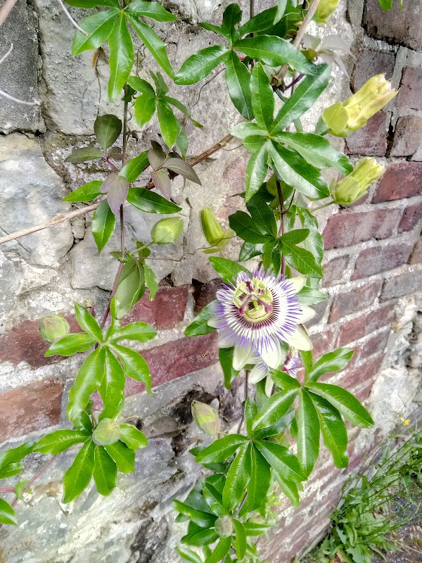 EHPAD Les escales - Photo 4 sur 5 - Espaces de vie