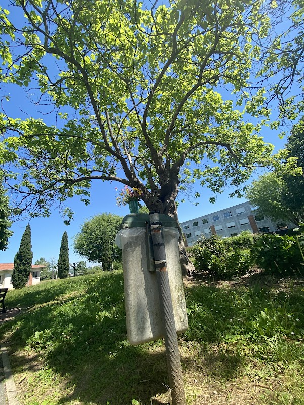 EHPAD Goxoki Les maisons de l'Arrayde - Photo 5 sur 5 - Environnement et extérieurs