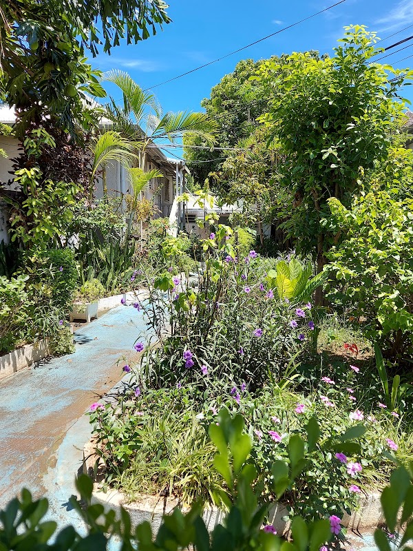 EHPA Foyer du Sacré Coeur - Photo 5 sur 5 - Environnement et extérieurs
