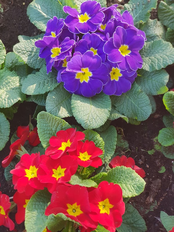 USLD Centre Antonin Balmès - Photo 4 sur 5 - Espaces de vie