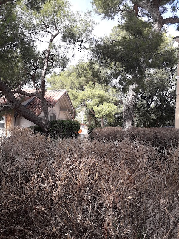 MAISON DE RETRAITE LA FOREZIENNE - Photo 4 sur 5 - Espaces de vie