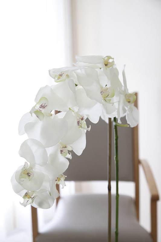 EHPAD Les Jardins du Médoc - Photo 3 sur 5 - Chambres et hébergement