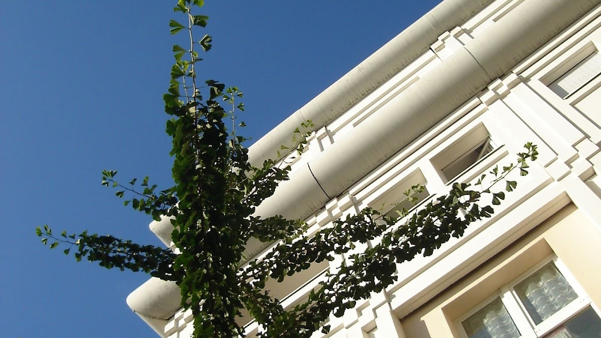 Photo de Résidence Pont Saint-Jean, Résidence autonomie à BORDEAUX