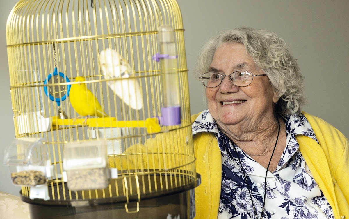 EHPAD L'Archipel - Photo 3 sur 5 - Chambres et hébergement