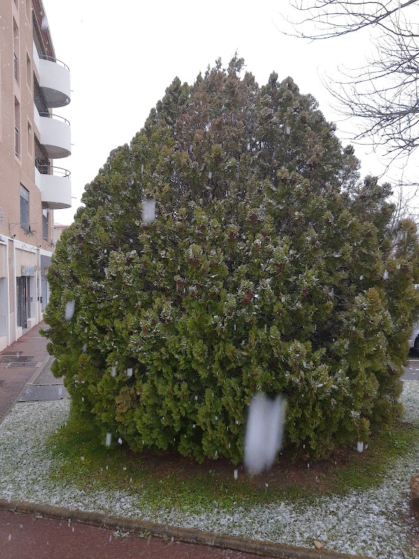 Résidence Jas de Bouffan - Photo 2 sur 5 - Intérieur et espaces communs