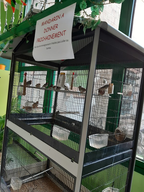 EHPAD Les Vertes Années - Photo 4 sur 5 - Espaces de vie