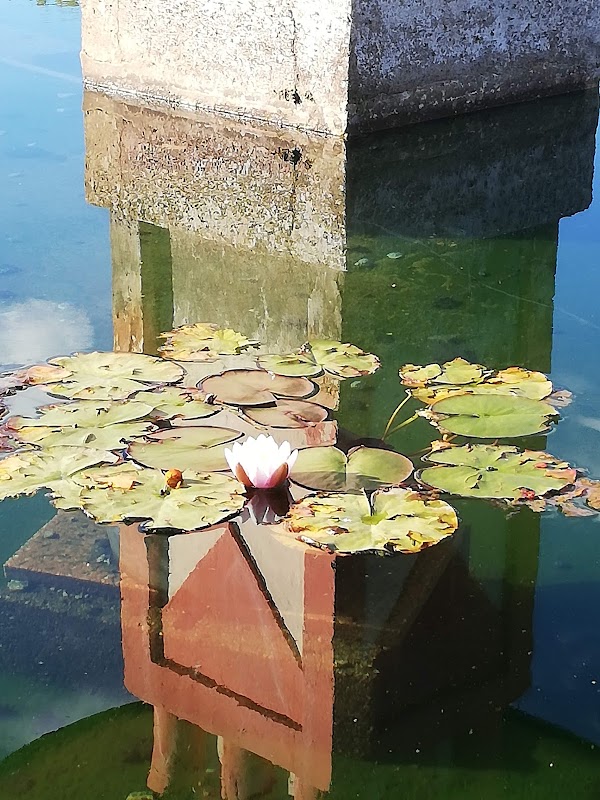 EHPAD de Giat - Photo 3 sur 5 - Chambres et hébergement