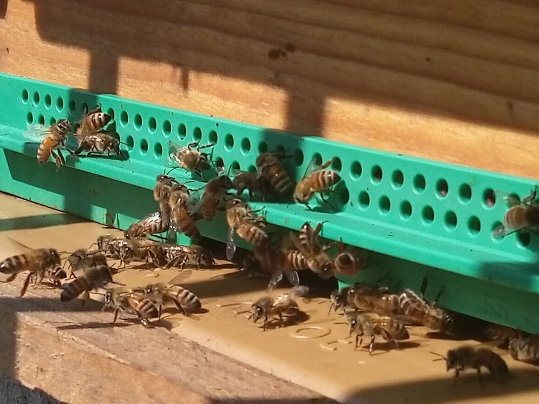 EHPAD La Roseraie - Photo 4 sur 4 - Espaces de vie