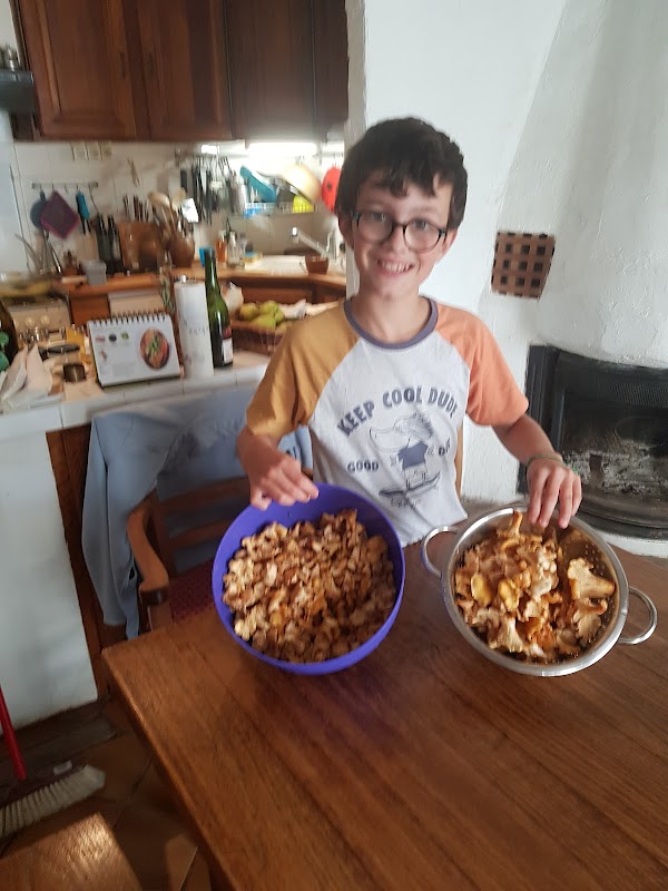 Photo de Maison de retraite de l'Orthus, EHPAD à CLARET