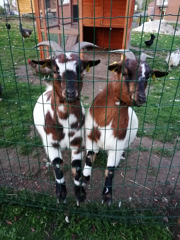 EHPAD La Rose des Vents - Photo 5 sur 5 - Environnement et extérieurs