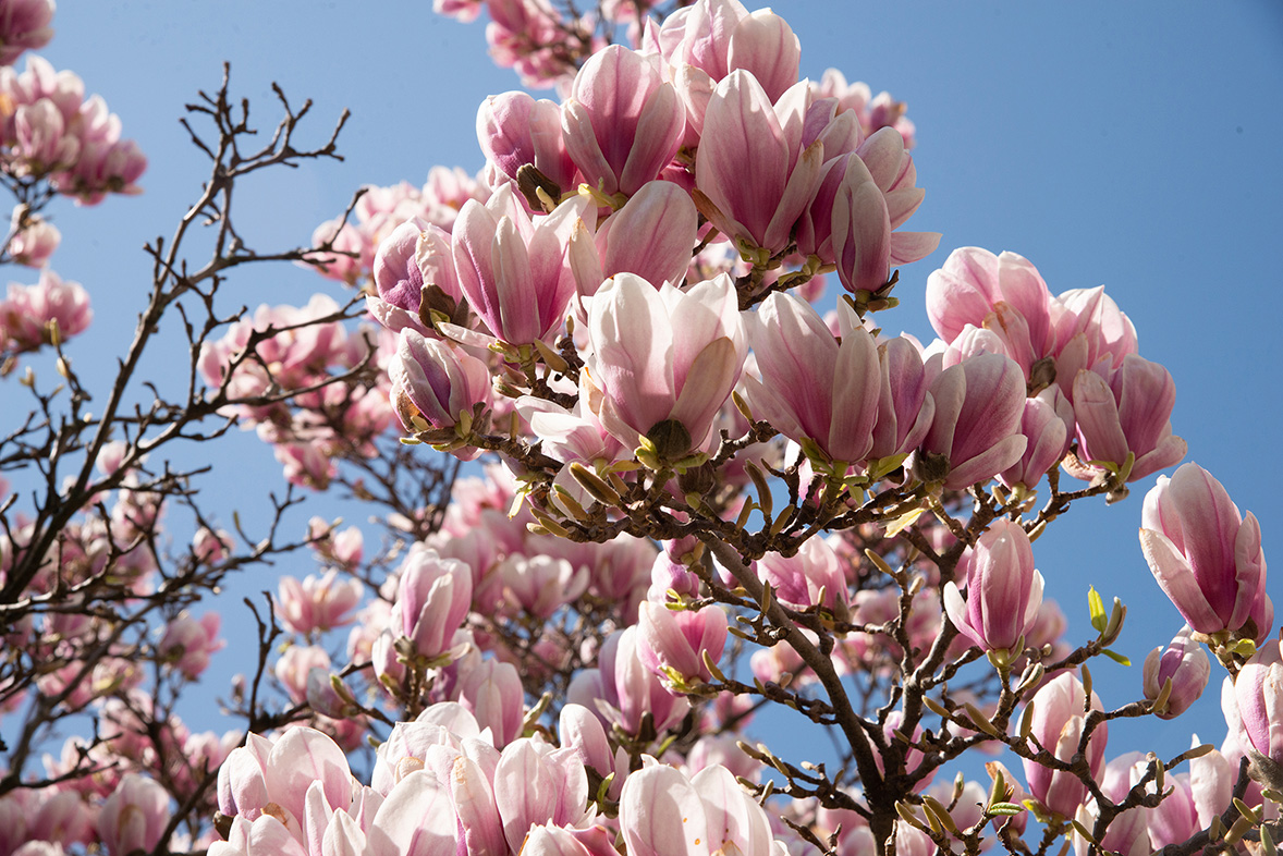 Maison de retraite privée Saint-Benoît Chambery - Photo 5 sur 5 - Environnement et extérieurs