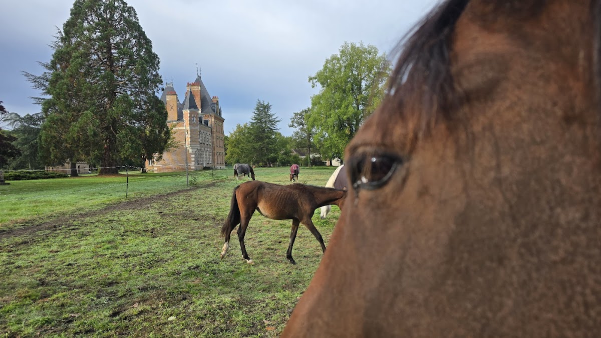 EHPAD - Centre rencontre des générations - Photo 5 sur 5 - Environnement et extérieurs