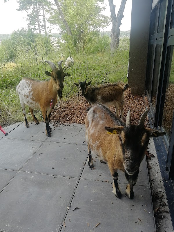 EHPAD Résidence Isatis - Photo 4 sur 5 - Espaces de vie