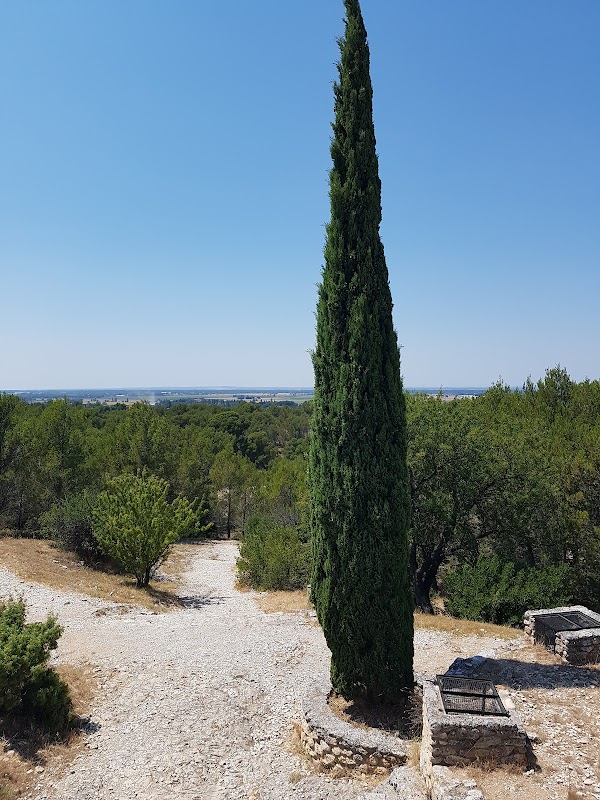 Résidence Alphonse Daudet - Photo 5 sur 5 - Environnement et extérieurs