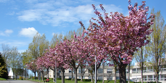 EHPAD du Centre hospitalier de Tréguier - Photo 3 sur 4 - Chambres et hébergement