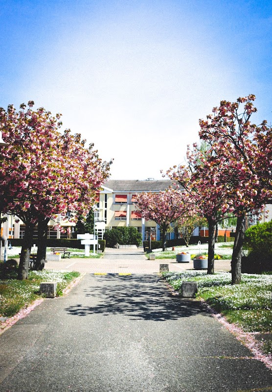 EHPAD Hôpital La Grafenbourg - Photo 4 sur 5 - Espaces de vie
