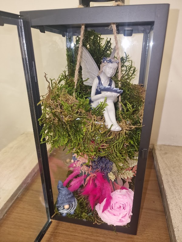 Résidence autonomie La fraternelle - Photo 5 sur 5 - Environnement et extérieurs