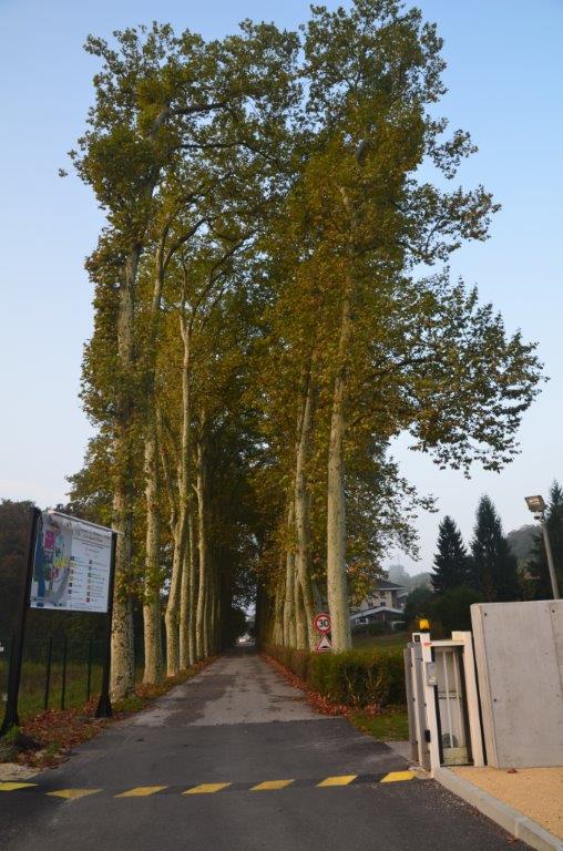 Photo de Maison de retraite Le Perron - Saint-Sauveur, EHPAD à ST SAUVEUR