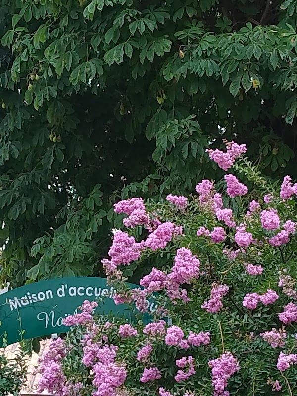 EHPAD Les Cordeliers - Photo 2 sur 4 - Intérieur et espaces communs