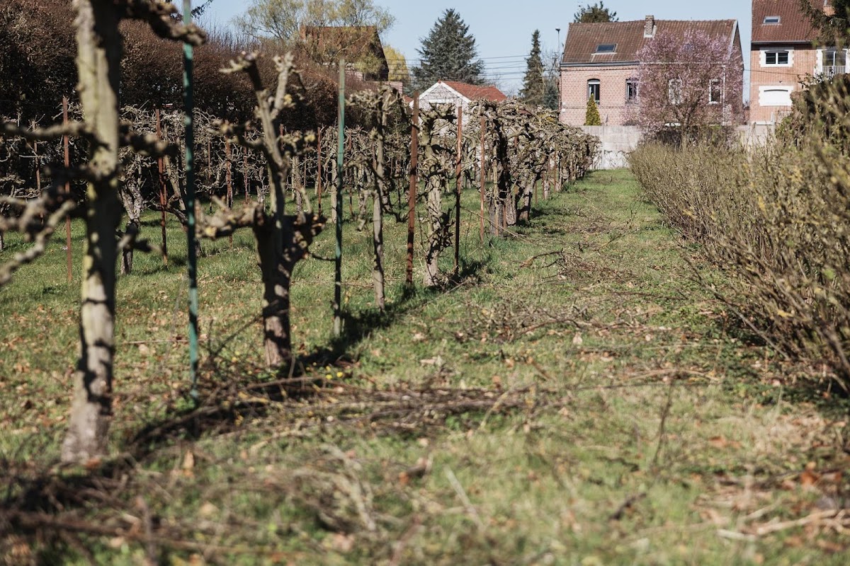 EHPAD Maison Mérici - Photo 4 sur 5 - Espaces de vie