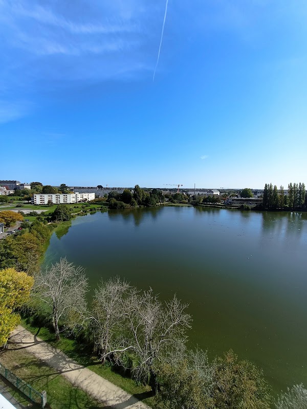 Les maisons du Lac - Photo 5 sur 5 - Environnement et extérieurs