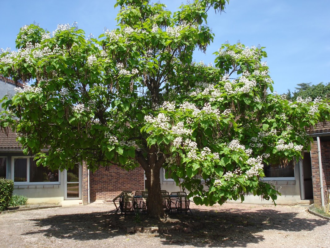 Résidence Les Myosotis - Photo 5 sur 5 - Environnement et extérieurs