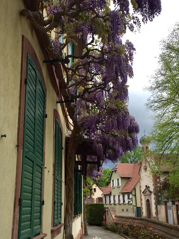MAISON DE RETRAITE SAINT LEON - Photo 2 sur 5 - Intérieur et espaces communs