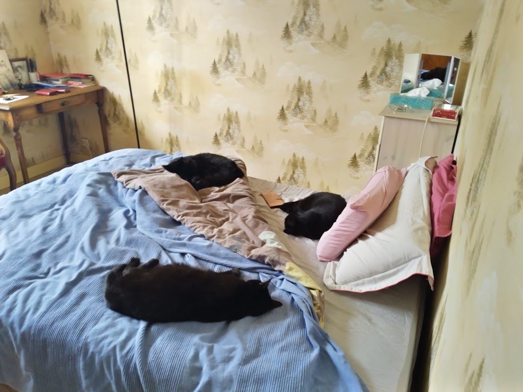 MARPA les Marinières - Photo 3 sur 3 - Chambres et hébergement