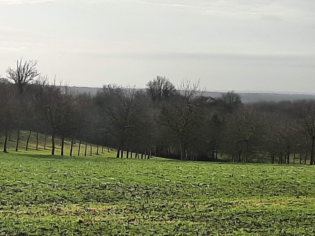 Photo de PUV - RESIDENCE DU VAL DES SOURCES, EHPAD à NANTEUIL EN VALLEE