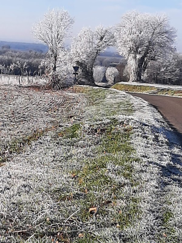 PUV - RESIDENCE DU VAL DES SOURCES - Photo 2 sur 5 - Intérieur et espaces communs