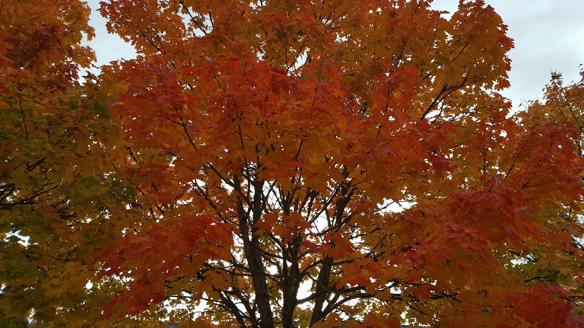 Résidence de Penhoët - Photo 2 sur 4 - Intérieur et espaces communs
