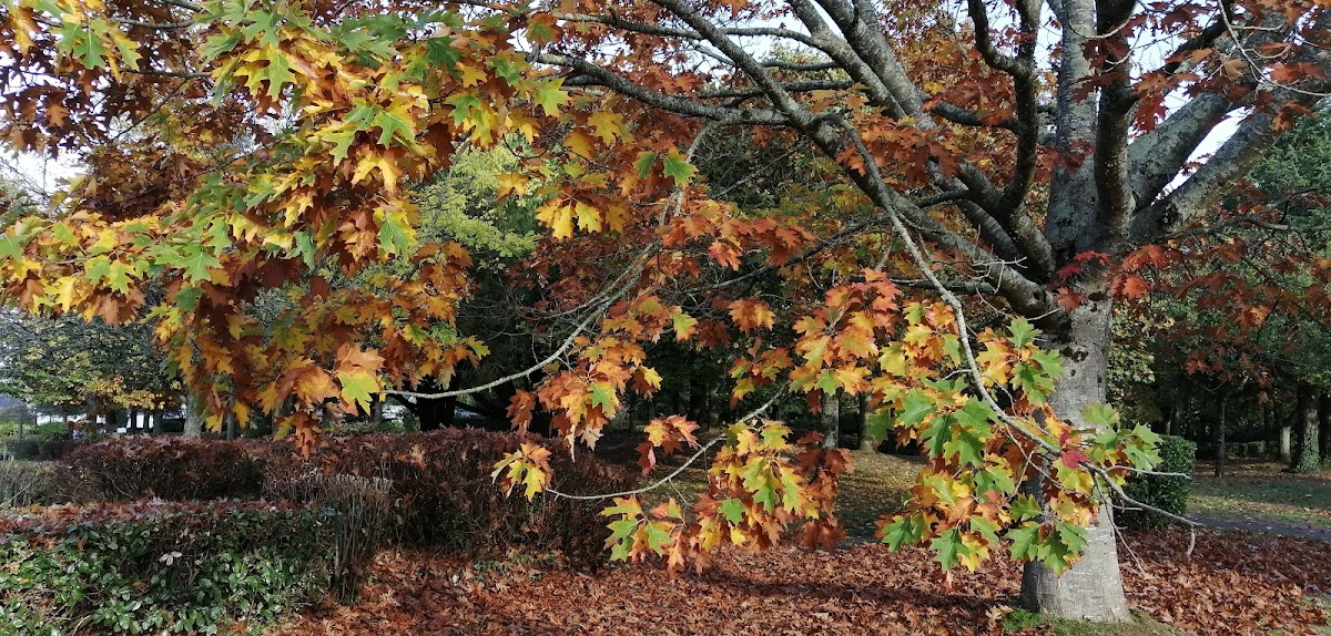 Photo de Résidence de Penhoët, Résidence autonomie à SENE