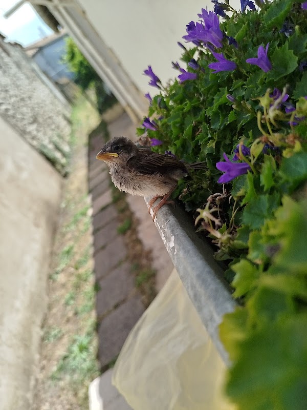 EHPAD Saint-Gabriel - Photo 2 sur 2 - Intérieur et espaces communs