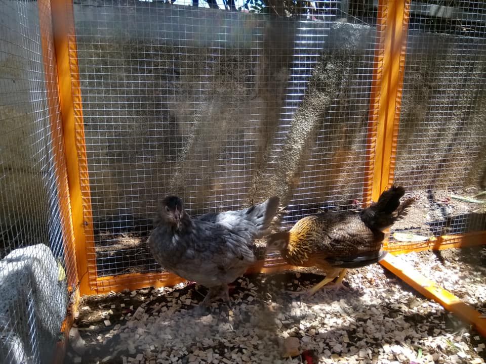 EHPAD Clovis Hoarau - Photo 4 sur 5 - Espaces de vie