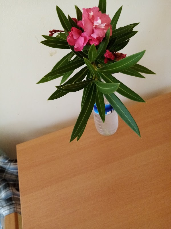 USLD du Centre hospitalier de Capesterre-Belle-Eau